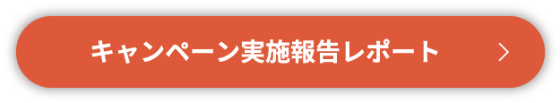 キャンペーン実施報告レポート